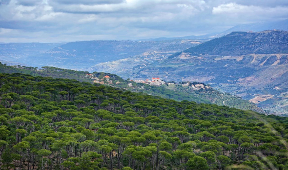 المغرب اليوم - تخصيص 34,6 مليون درهم لتأهيل وحماية الغابات الحضرية بطنجة