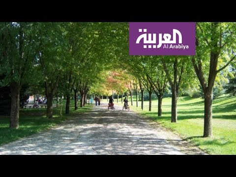 شاهد معالم الرياض آرت أبرز مشروعات الرياض العملاقة