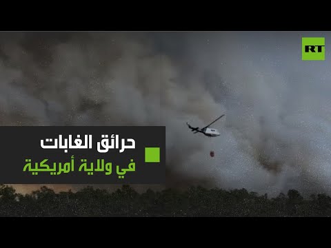 شاهد إجلاء 30 عقارًا بسبب حرائق الغابات في فلوريدا الأميركية