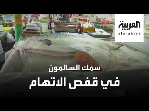 شاهد هل سمك السلمون بريء من تهمة عودة كورونا