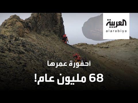 شاهد أحفورة غامضة عمرها 68 مليون عام