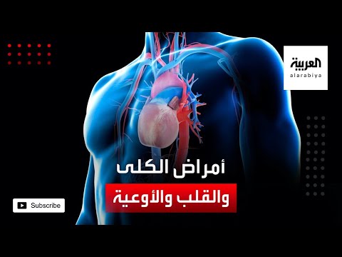 شاهد العلاقة بين أمراض الكلى والقلب والأوعية الدموية