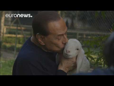 campaignadopts five lambs 1