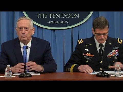 entire pentagon report on syria attack