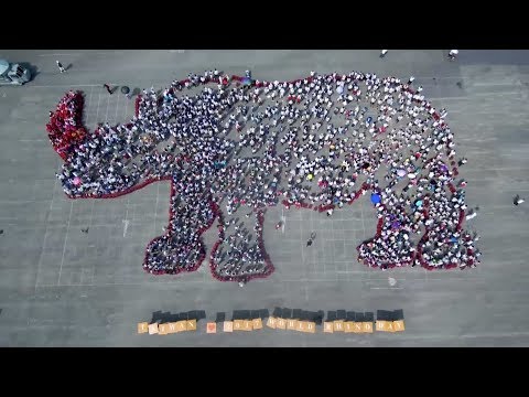 world rhino day marked in taiwan