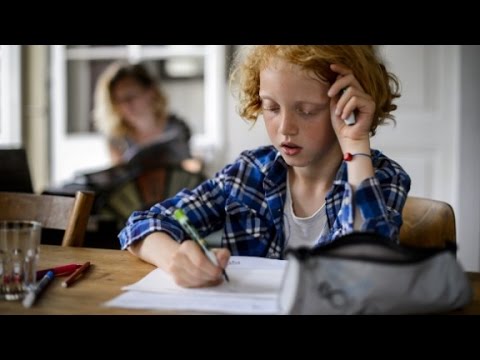 your kids are doing too much homework