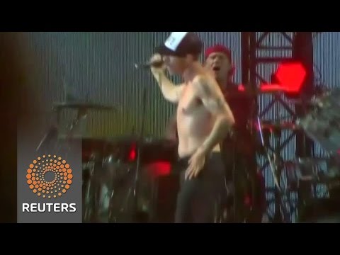 red hot chili peppers cancels gig