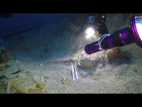 skeletal remains found at ancient shipwreck site