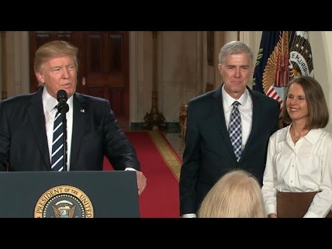 trump picks neil gorsuch for supreme court