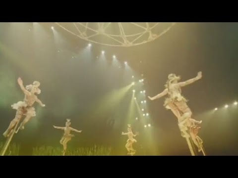 cirque du soleil sold to investor group