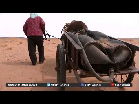 droughtresistant plants making deserts in china green