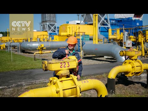 russia halts gas supplies to ukraine