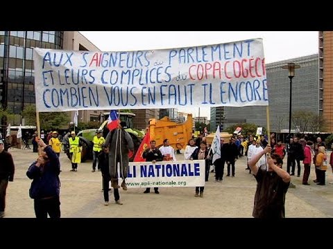 frustrated farmers protest in brussels