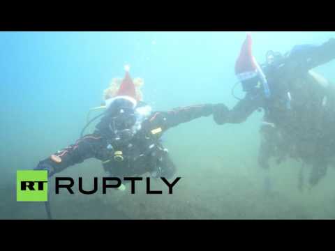 divers take fir tree in ice cold water celebrating new year